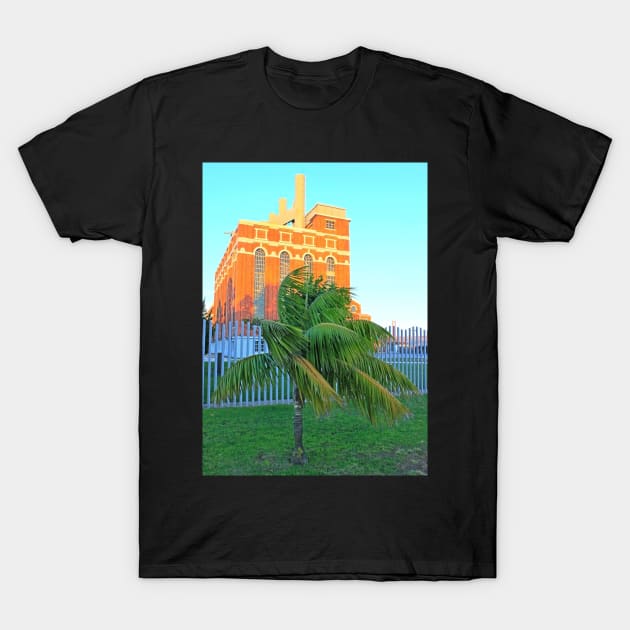 baby palm and the electricity museum T-Shirt by terezadelpilar